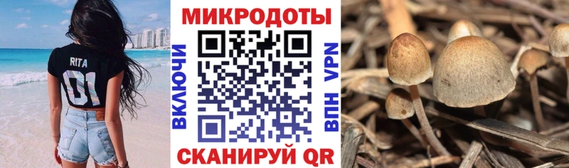 Галлюциногенные грибы прущие грибы  hydra вход  Электроугли 